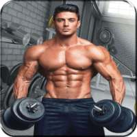 Bodybuilding Gym Muscle Fitness