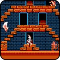 Crazy Castle Classic: Bugs Rabbit