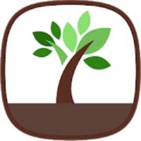 ikon Botanical Name of Plants