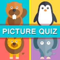 Picture Quiz