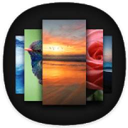 Apex Wallpaper - HD,4K Backgrounds *️