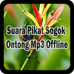 Suara Pikat Sogok Ontong Mp3 Offline icon