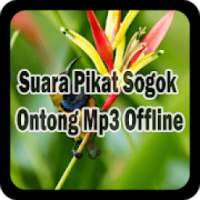 Suara Pikat Sogok Ontong Mp3 Offline on 9Apps