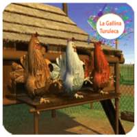 La Gallina Turulecaa- sin net
