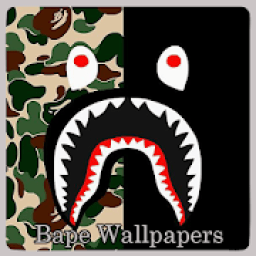 HD bape shark wallpapers  Peakpx