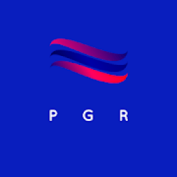 P G Racing आइकन