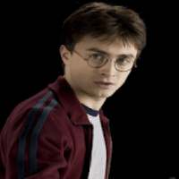 Harry Potter Wallpaper New