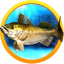 Wild Fishing Pro Clash 11