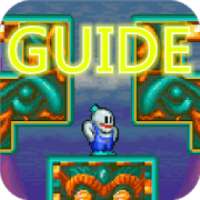 ikon Guide For Snow Bros