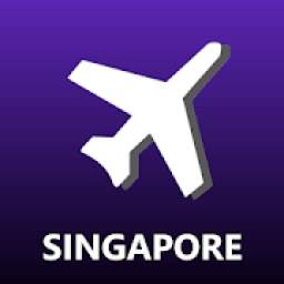 Singapore Changi Airport Flight Info