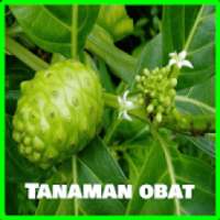 Tanaman Obat Keluarga - TOGA on 9Apps