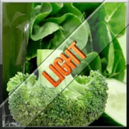 Receitas light icon