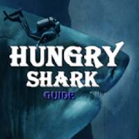 Guide hungry Shark All-mod