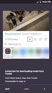 Video downloader for Tumblr screenshot 2