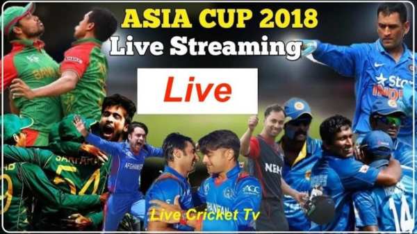 Live Cricket Tv screenshot 4