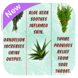 Medicinal Plants and Its Uses icon