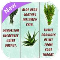 Medicinal Plants and Its Uses on 9Apps