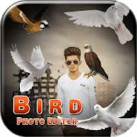 Bird Photo Editor on 9Apps