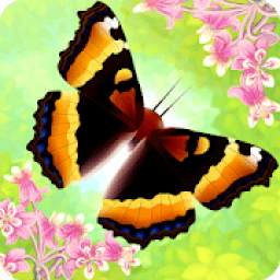 Flutter: Butterfly Sanctuary