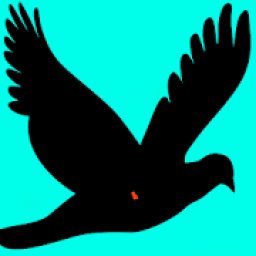 Cute Birds आइकन