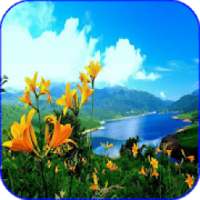 Nature Images For DP & Status on 9Apps