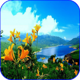 ikon Nature Images For DP &amp; Status