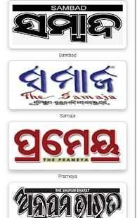 Odia News Paper screenshot 2
