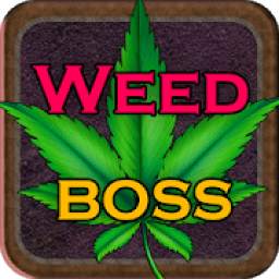Weed Boss - Run A Ganja Farm & Be Firm Tycoon Inc