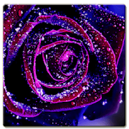 HD Wallpaper आइकन