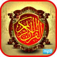 Quran Mp3:+100 Reciter