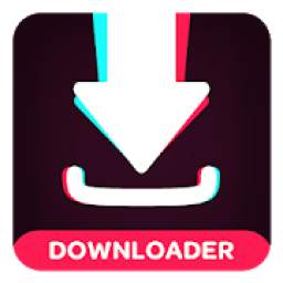 TikTok Downloader 1.0