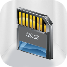 100 GB Storage Card SD आइकन