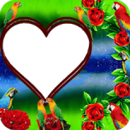 Parrot Photo Frame आइकन