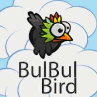 BulBul Bird