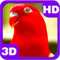 Wonderful Red Parrot Chatter on 9Apps