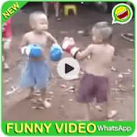 New Funny Videos Whatsapp