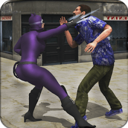 Superhero Cat Girl Fighting icon