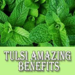 Tulsi Amazing Health and Beauty Benefits