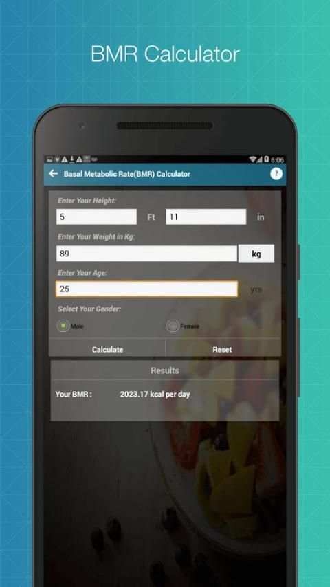 Body Workout and Fitness screenshot 5