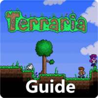 Tips&Guide for Terraria