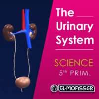 El-Moasser Urinary System on 9Apps