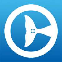 Clearwater Marine Aquarium