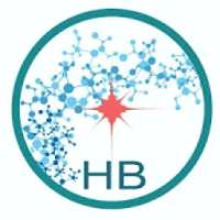 Hubli Browser - Fastest browser ever on 9Apps