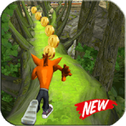 Temple Crash Jungle Run Adventure icon