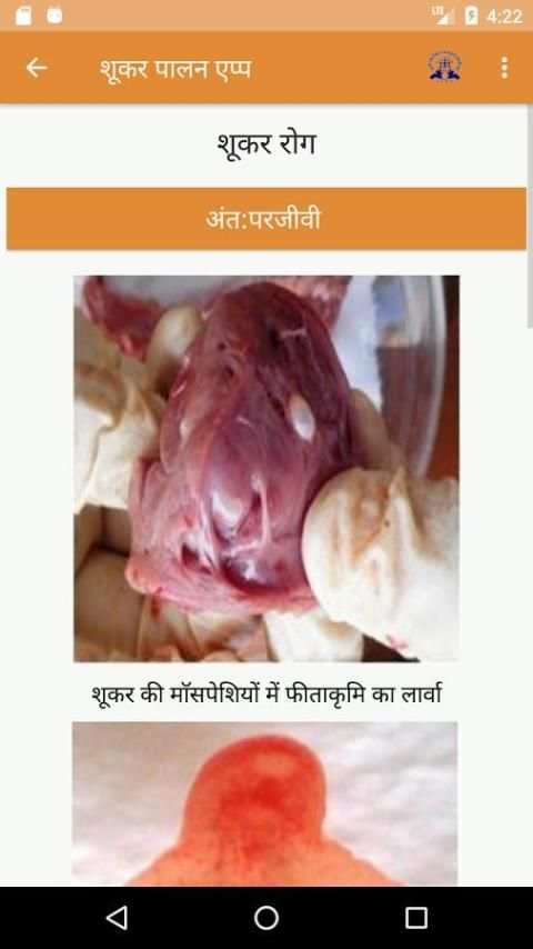 IVRI-Shukar Palan(Pig Farming) App स्क्रीनशॉट 3