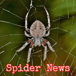 Spider Arachnid - News, Information &amp; Research icon