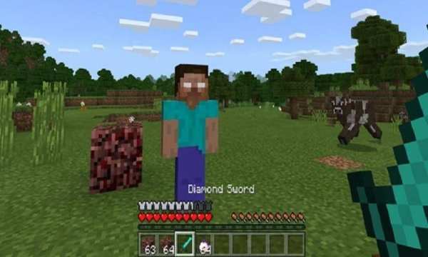 Mod Herobrine MCPE screenshot 3