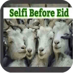 نكت عيد الاضحى 2018
‎ icon