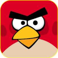 Angry Bird Wallpapers