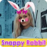 Rabbit Stickers Cute - Snappy Camera Filter Effect on 9Apps